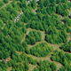 Hedge maze